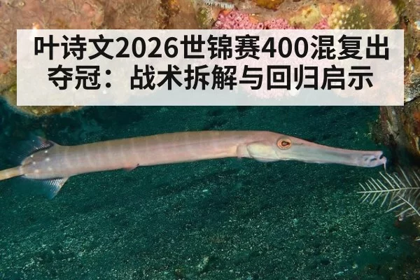 叶诗文2026世锦赛400混复出夺冠：战术拆解与回归启示
