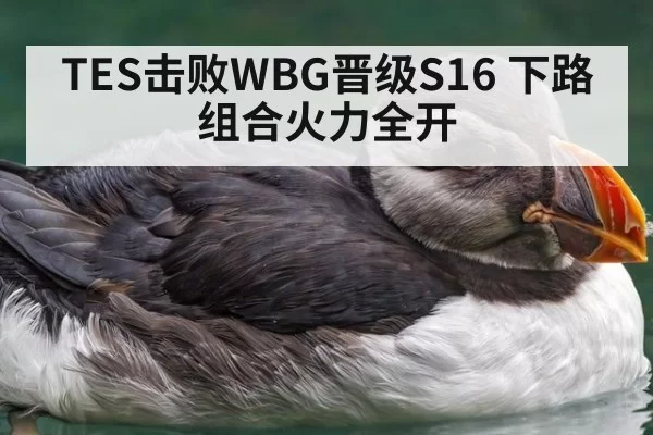 TES击败WBG晋级S16 下路组合火力全开